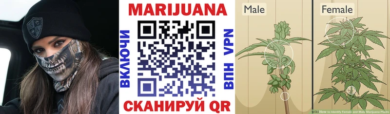 наркошоп  omg зеркало  Каннабис марихуана  Данилов 
